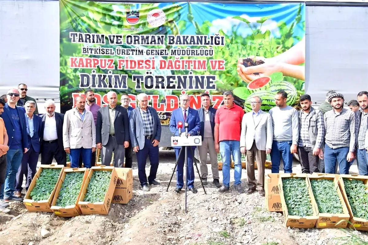 Diyarbakır\'da Çiftçilere 115 Bin Karpuz Fidesi Dağıtıldı