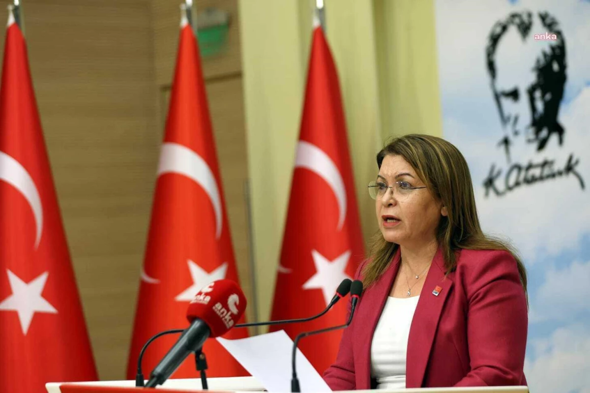 CHP Genel Başkan Yardımcısı Gülizar Biçer Karaca: \'AKP emekçiyi yok sayıyor\'
