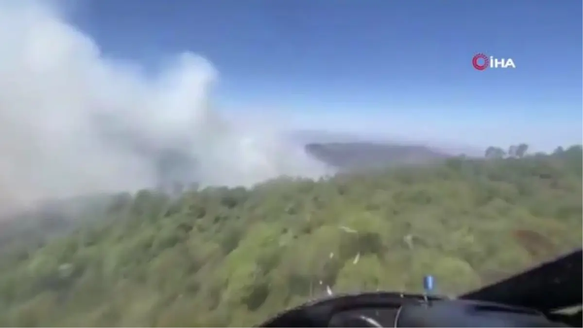 Meksikada orman yangınında 1 itfaiyeci hayatını kaybetti