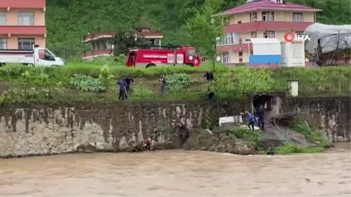 Trabzon\'da dereye düşen karaca kurtarıldı