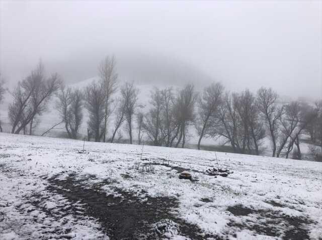 Erzincan'da mayıs ayında kar sürprizi! Az buz değil lapa lapa yağdı