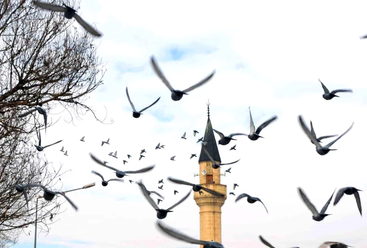 Türkiye\'de En Çok Camii Olan İller Belirlendi