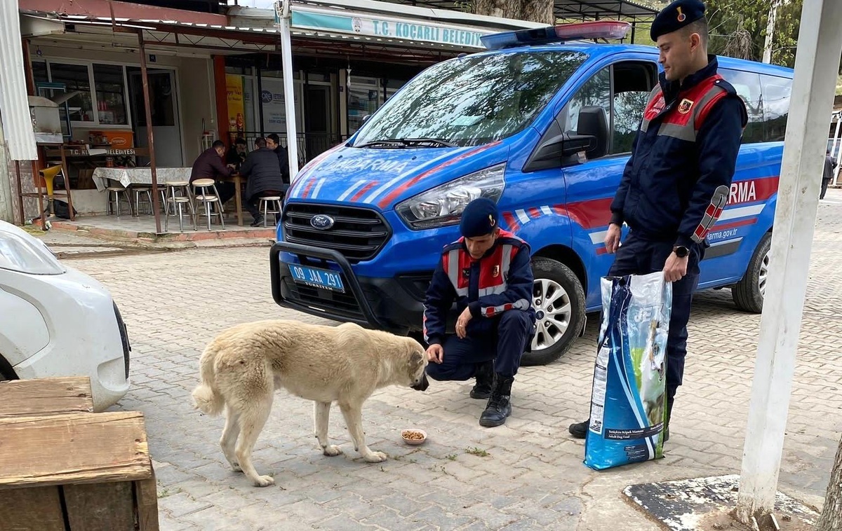 Aydın İl Jandarma Komutanlığı Sokak Hayvanlarına Yönelik Besleme Faaliyetlerini Sürdürüyor