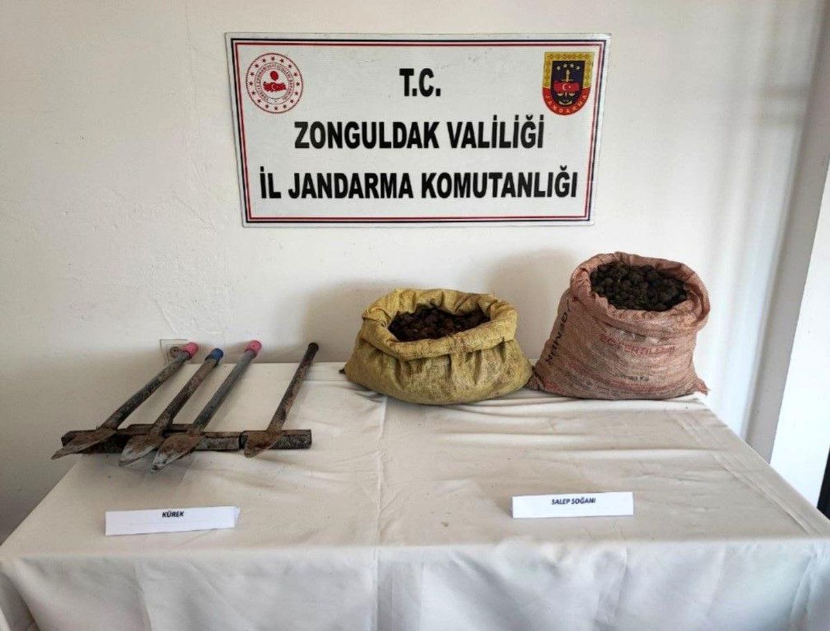 Zonguldak\'ta Yasaklı Salep Soğanı Ele Geçirildi, 4 Kişi Yakalandı
