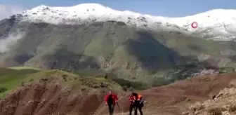 Siirt'te yaban bitkisi toplarken kayalıklardan düşen yaşlı adam hayatını kaybetti