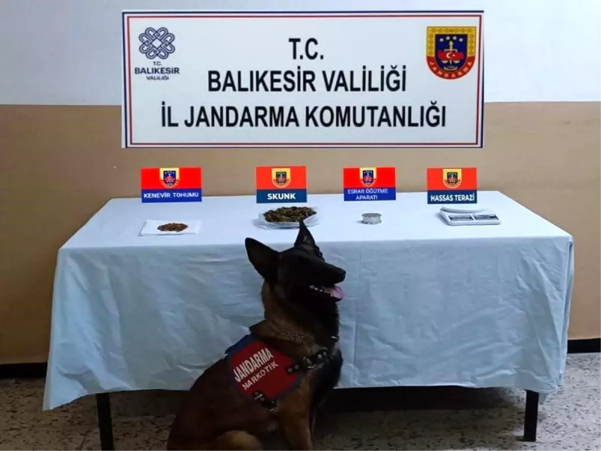 Balıkesir\'de Uyuşturucu ve Kaçakçılık Operasyonu: 48 Şüpheli Gözaltına Alındı