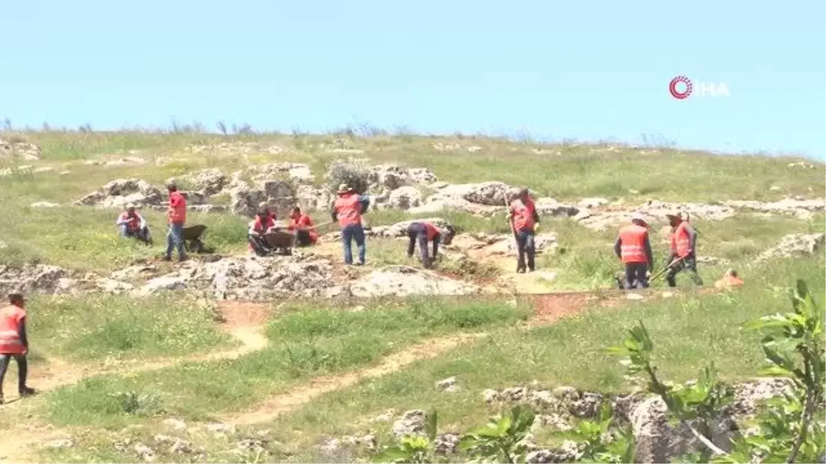 Perre Antik Kentte kazılar başladı