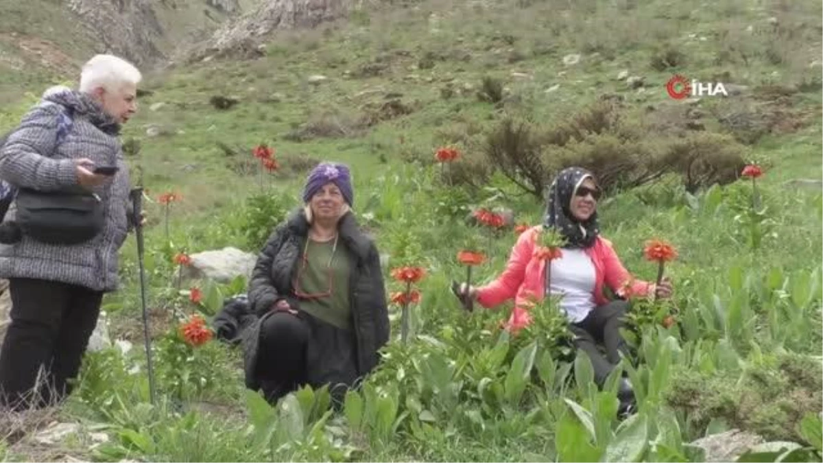 Yerli Turistler Kato Dağında Ters Lalelere ve Kaval Şelalesine Hayran Kaldı