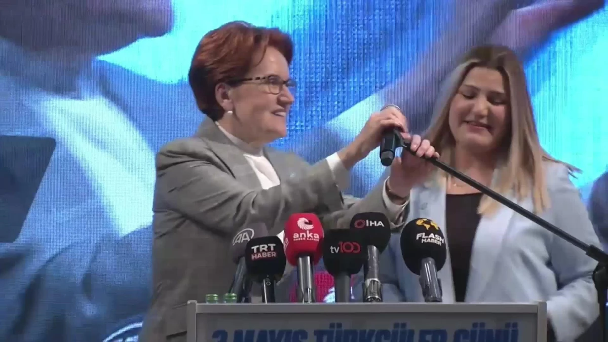 Meral Akşener Türkçüler Günü Şöleni\'nde konuştu