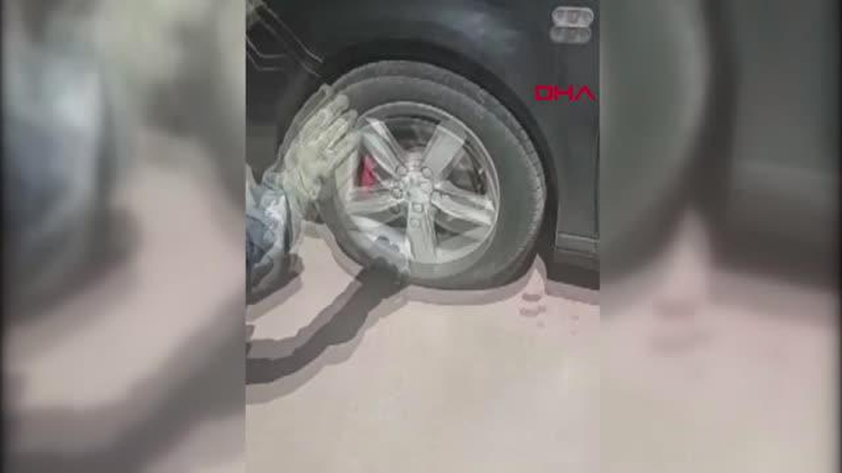 Başakşehir\'de Otomobilin Motor Bölümüne Giren Yılan İtfaiye Ekipleri Tarafından Çıkarıldı