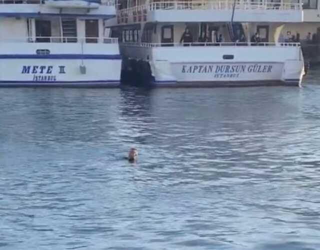 Kadıköy'de istek şarkı yüzünden öldürülen gencin olayı ile ilgili görgü tanığının ifadesi ortaya çıktı Kadıköy'de istek şarkı yüzünden öldürülen gencin olayı ile ilgili görgü tanığının ifadesi ortaya çıktı