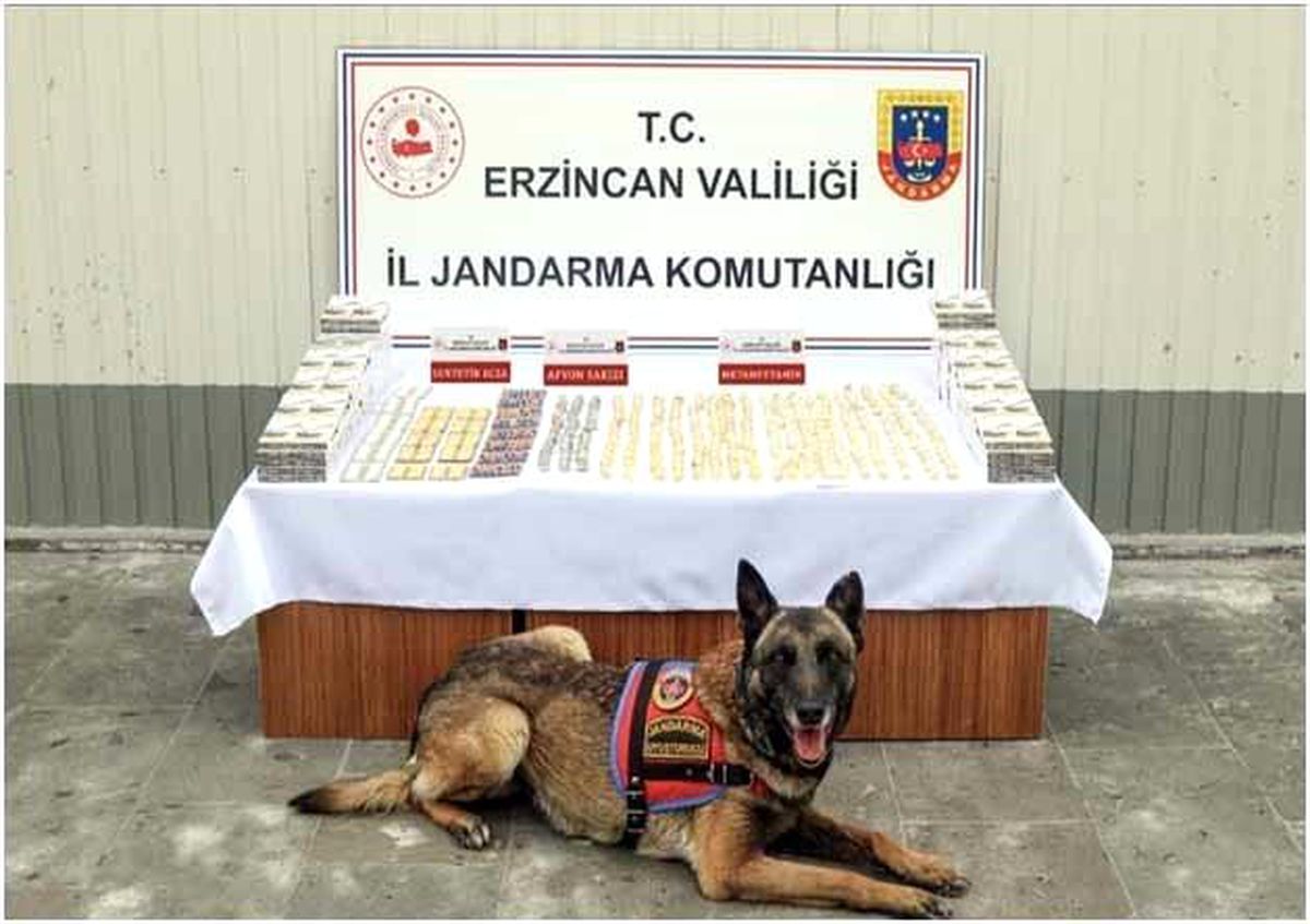 Erzincan İl Jandarma Komutanlığı Nisan Ayı Faaliyetleri