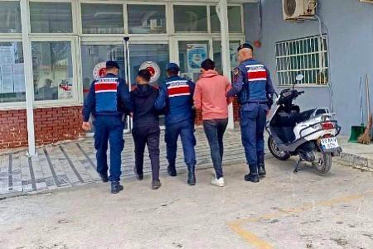 Muğla\'da Zeytinyağı Hırsızlığı Yapan Şüpheliler Yakalandı