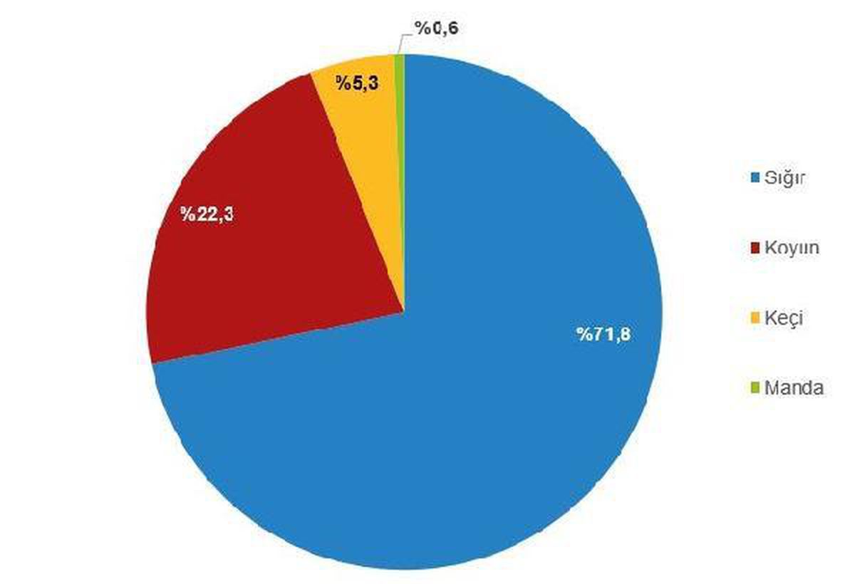2022\'de kırmızı et üretiminde yüzde 12,3 artış