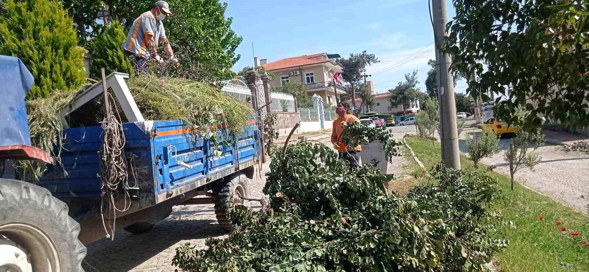 Ayvalık Belediyesi, Turizm Sezonu Öncesi Temizlik Çalışmalarını Tamamladı