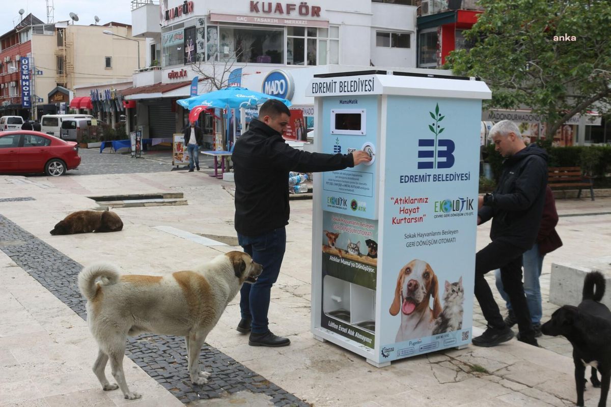 Edremit Belediyesi Sokak Hayvanları İçin MamaMatik Yerleştirdi