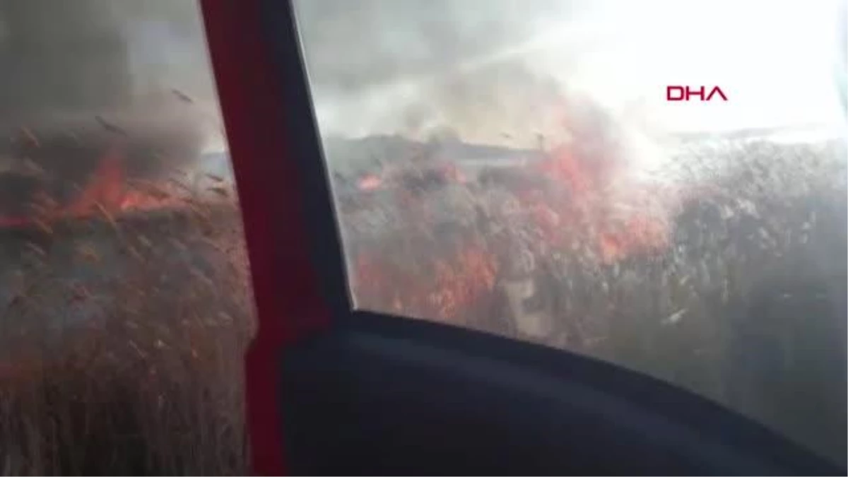Van\'daki Erçek Gölü\'ndeki sazlıkta yangın çıktı
