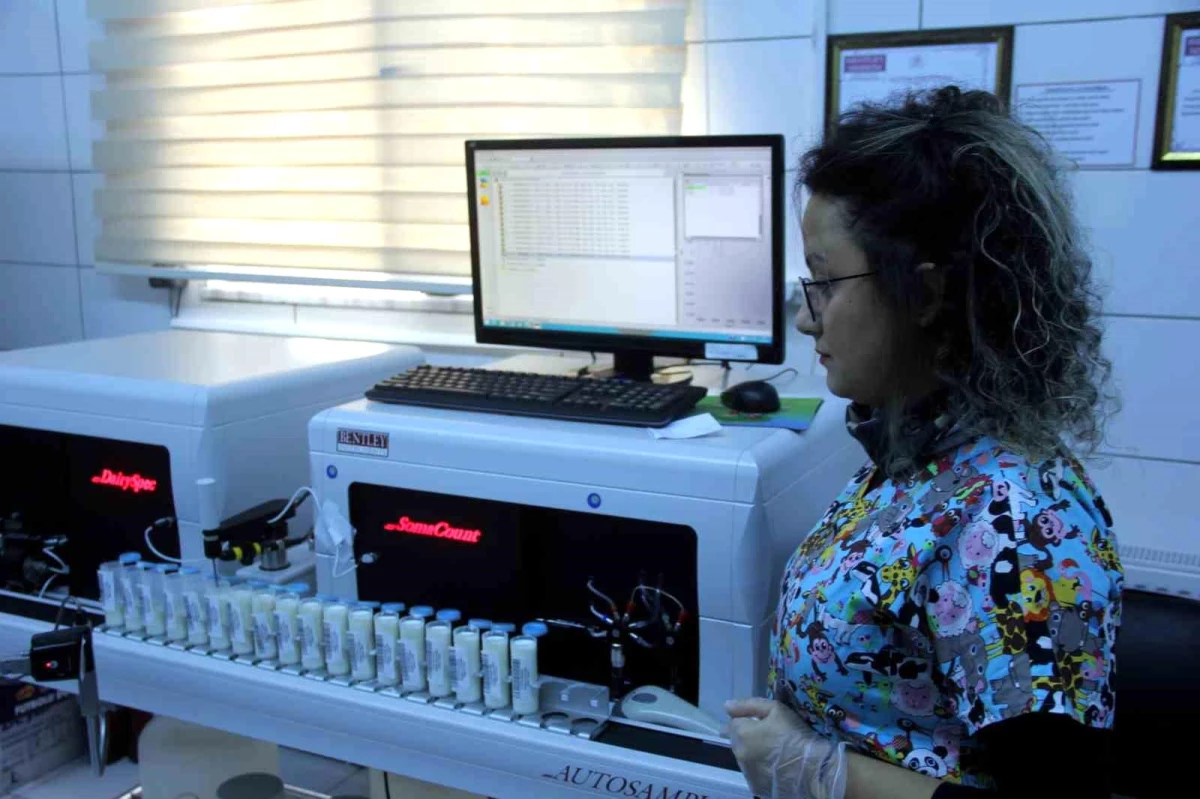 Erzincan\'da Süt Analiz Laboratuvarı Farklı İllerden Gelen Numuneleri İnceliyor