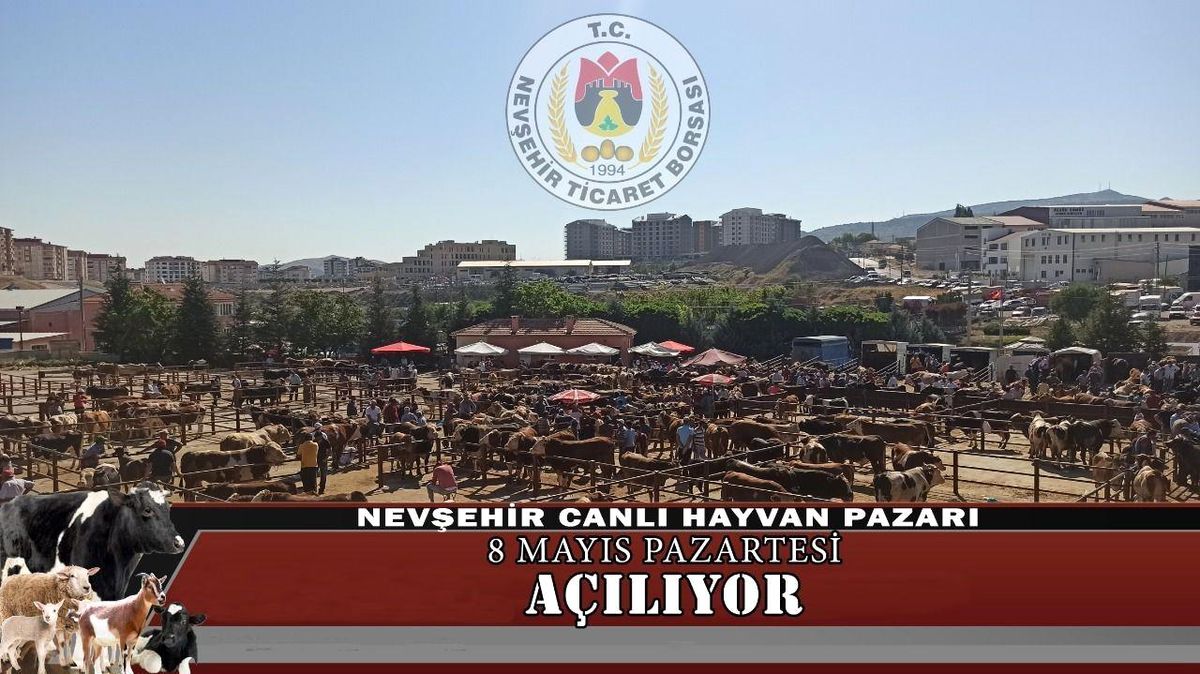 Nevşehir Canlı Hayvan Pazarı Yeniden Açılıyor
