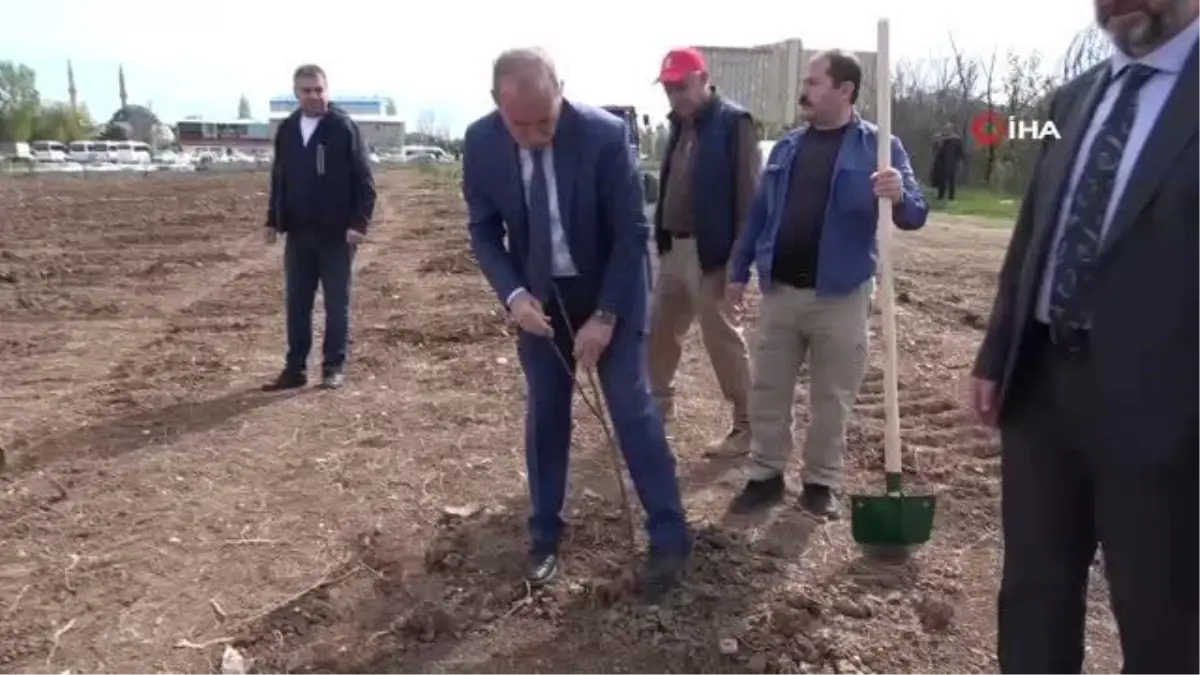 Dikilen fidanlardan elde edilen gelir öğrencilere burs olacak