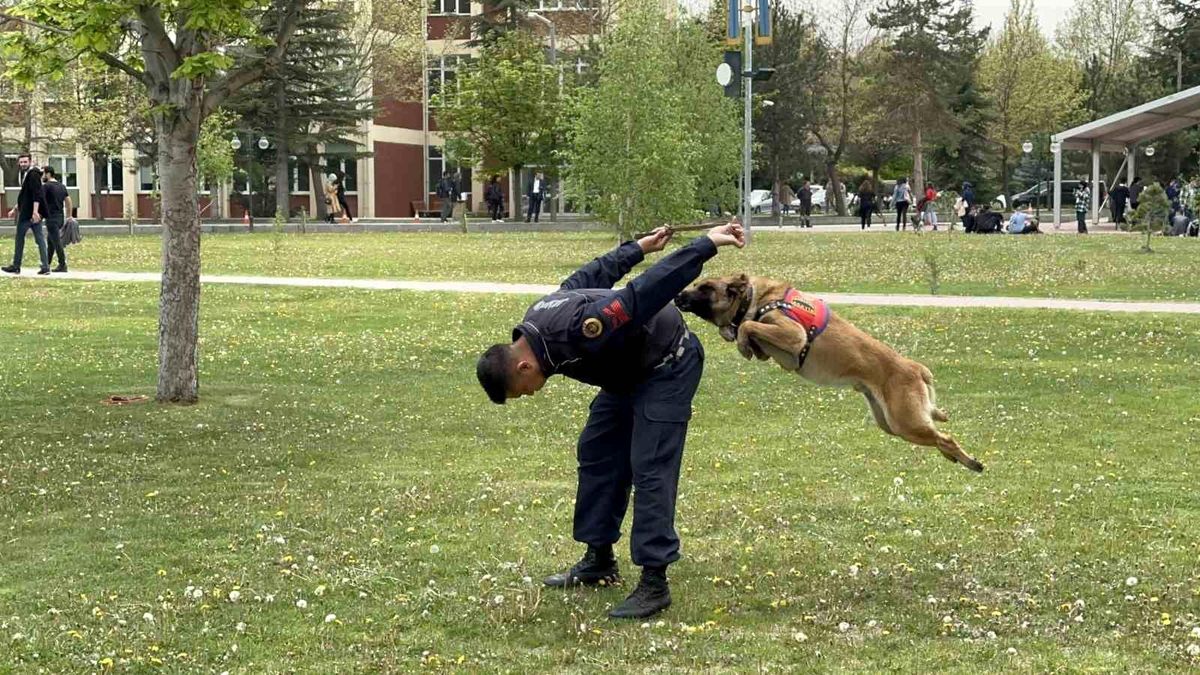 Eskişehir Jandarma Köpekleri İKAF23 Etkinliğinde Göz Doldurdu