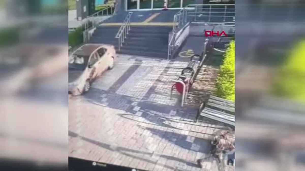 Kayseri\'de Kediye Malayla Vurarak Eziyet Eden Çocuk Yakalandı
