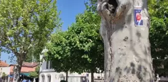 Kosovada Erdoğana destek afişleri asıldı