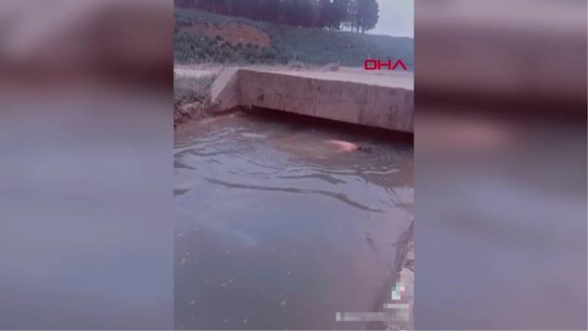 Mardin\'de TikTok videosu çekerken su kanalına düşen Suriyeli genç hayatını kaybetti