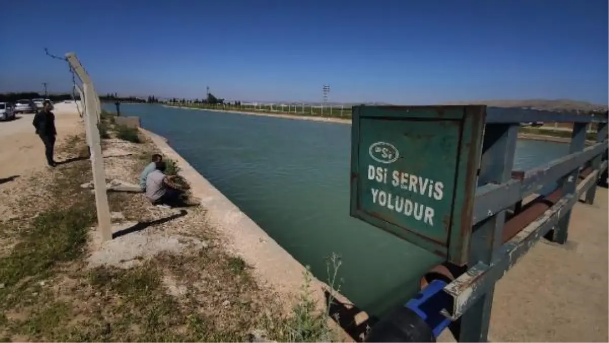 Şanlıurfa\'da Otomobil Kanala Düştü: 4 Kardeş Hayatını Kaybetti, Anne ve Oğlu Kayıp