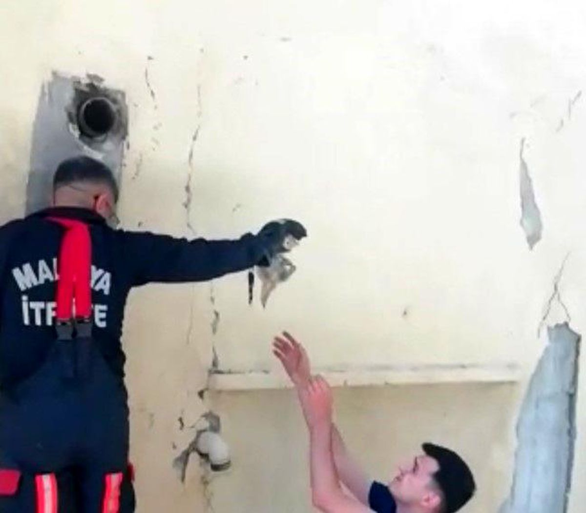 Malatyada depremde sıkışan yavru kedi itfaiye ekipleri tarafından kurtarıldı