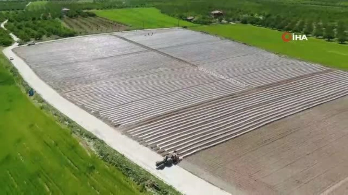 Deprem tarımı da vurdu: Mevsimlik işçi bulunamıyor