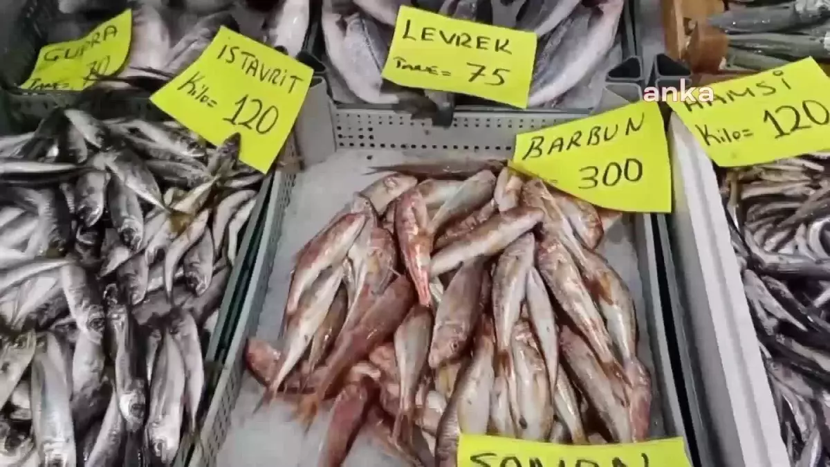 Balık fiyatları av yasağı ile arttı