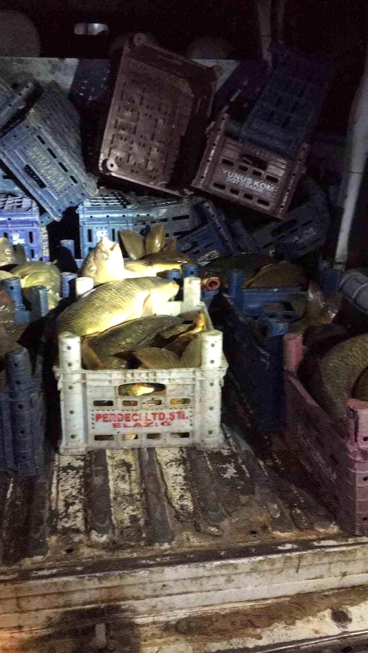 Elazığ\'da 200 Kilo Kaçak Balık Avlayan Şüpheliye 16 Bin 561 Lira Cezai İşlem Uygulandı
