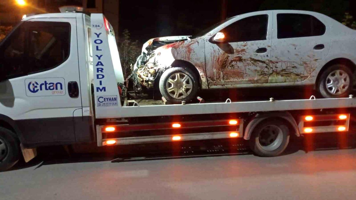 Elazığ\'da Otomobil Koyun Sürüsüne Çarptı: 2 Yaralı, 25 Koyun Telef Oldu