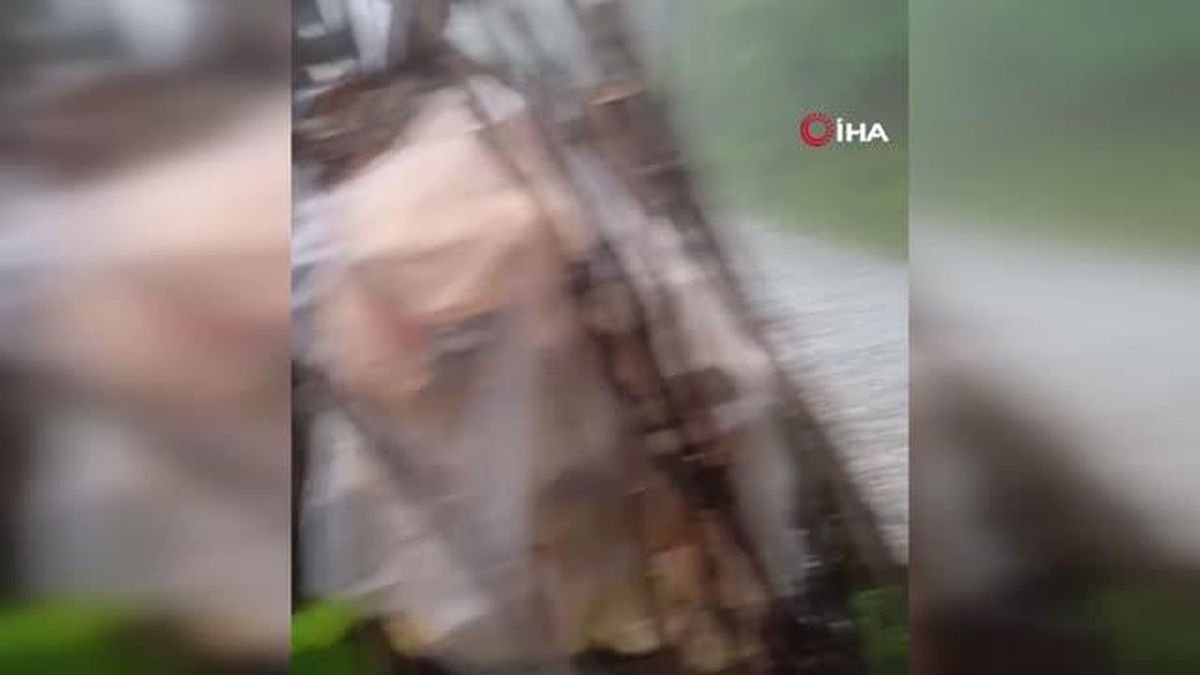 Giresunun yüksek kesimlerinde dolu yağışı etkili oldu