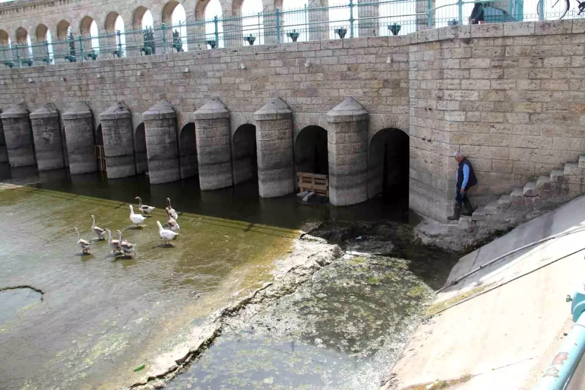 Beyşehir Gölü\'nde Mekeler ve kazlar ilgi odağı oldu