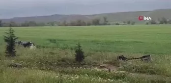 Otomobil su kanalına düştü: 1 ölü 4 yaralı