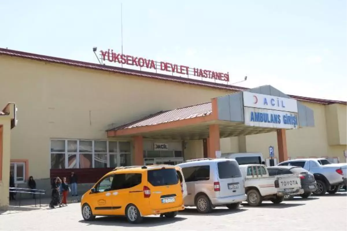 Hakkari'de pancar toplama işinde ayı saldırısı