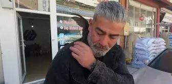 Sivasta yaralı olarak Ebabil kuşu bulundu