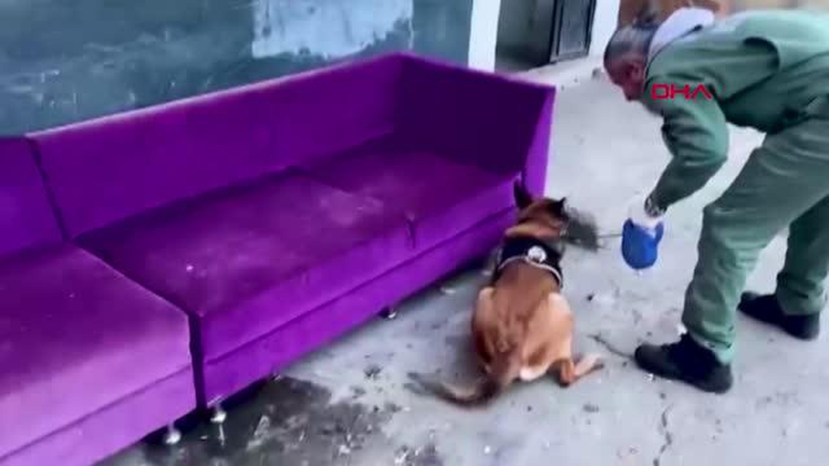 Tekirdağ\'da Nane Operasyonu: 10 Tutuklama