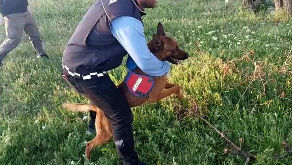 Aksaray\'da Uyuşturucu Operasyonu: 5 Kişi Gözaltına Alındı