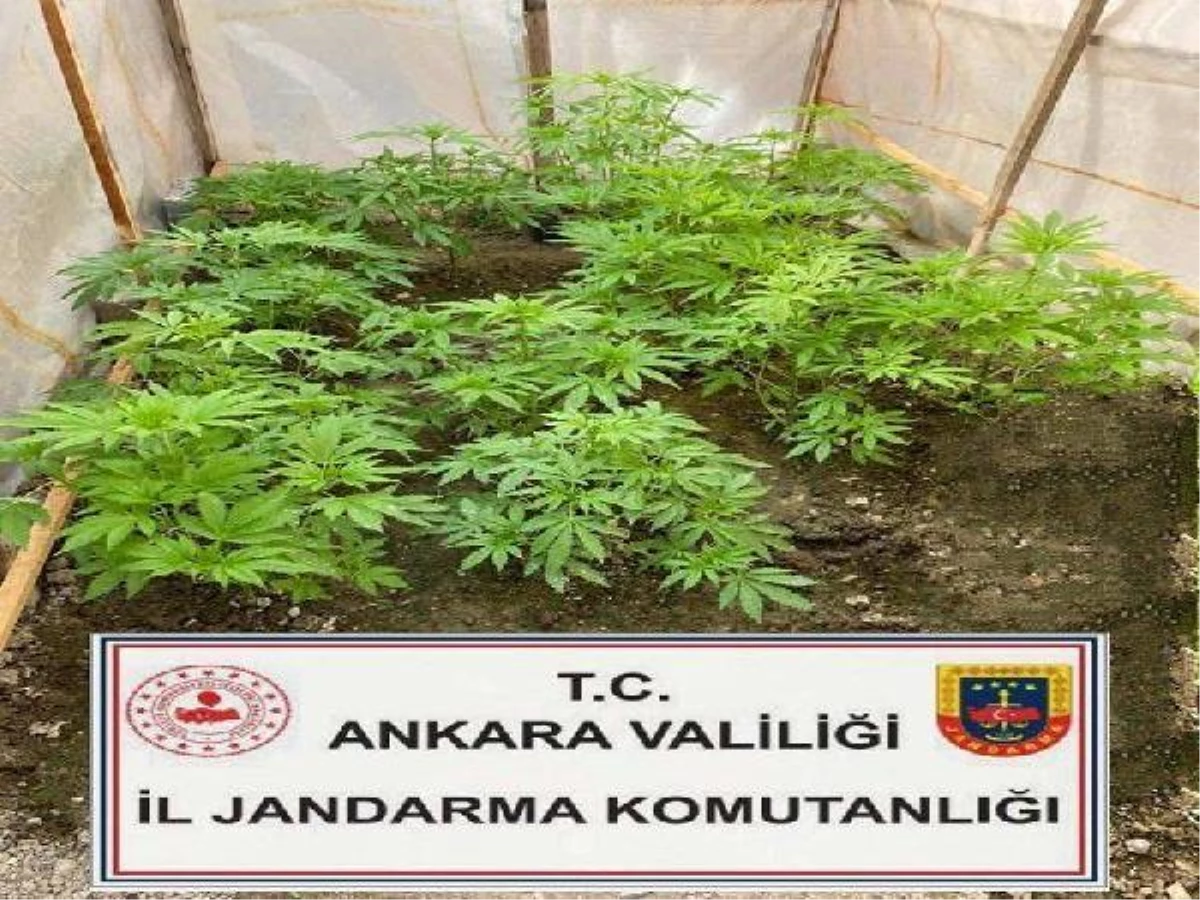 Ankara\'da Uyuşturucu Operasyonu: 13 Gözaltı