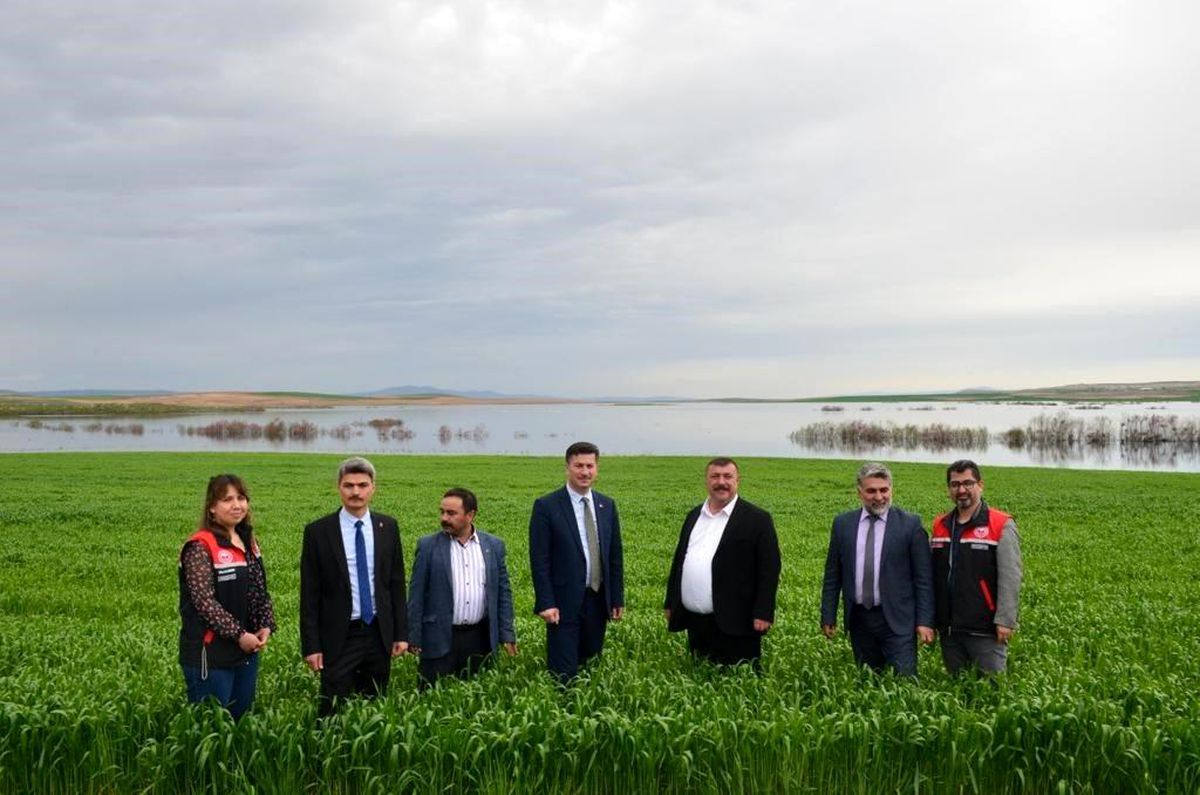 Beylikova Belediyesi, Tarım ve Orman Bakanlığı projesi ile yağlık ayçiçeği yetiştirecek