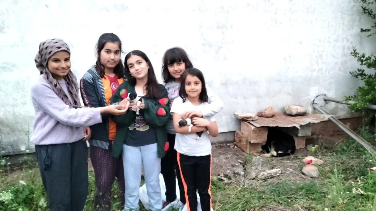 Osmaniye\'de 5 çocuk ölmek üzere olan 9 yavru köpeğe barınak yaptı