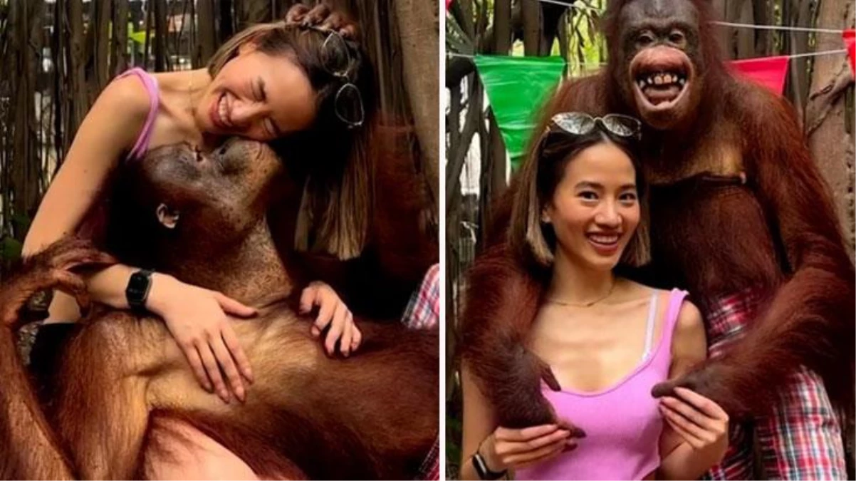 Hayvanat bahçesine giden genç turist orangutanın yaptıklarıyla şaşkına döndü