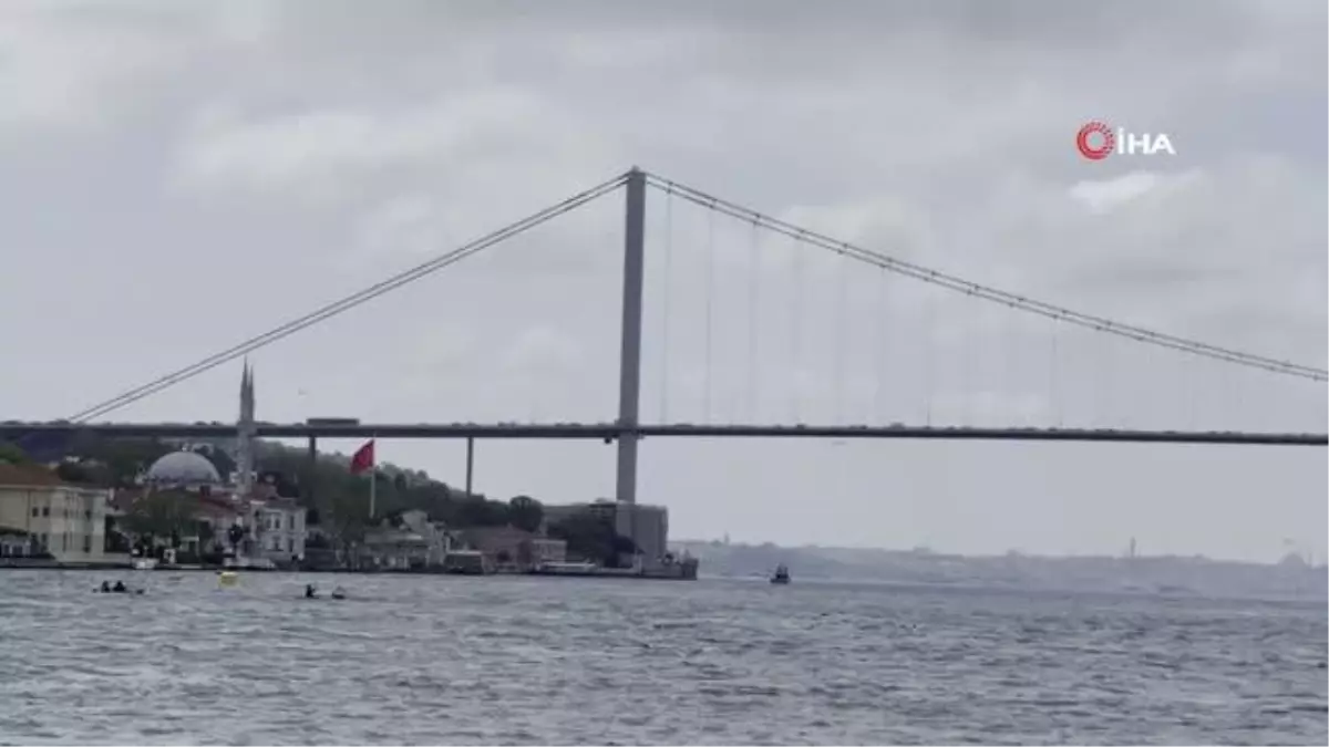 İstanbul Boğazında İstavrit Bolluğu