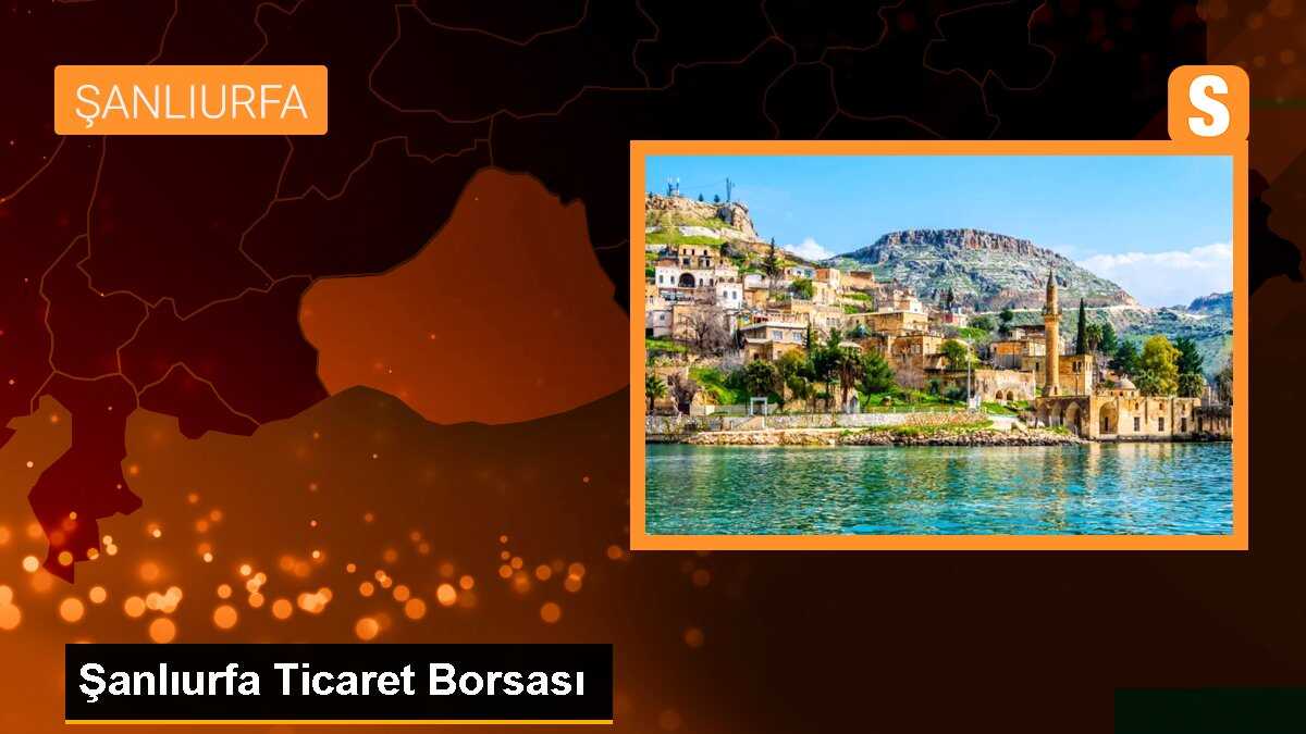 Şanlıurfa Ticaret Borsasında Preseli Pamuğun Kilogramı 3860 TL\'den Satıldı