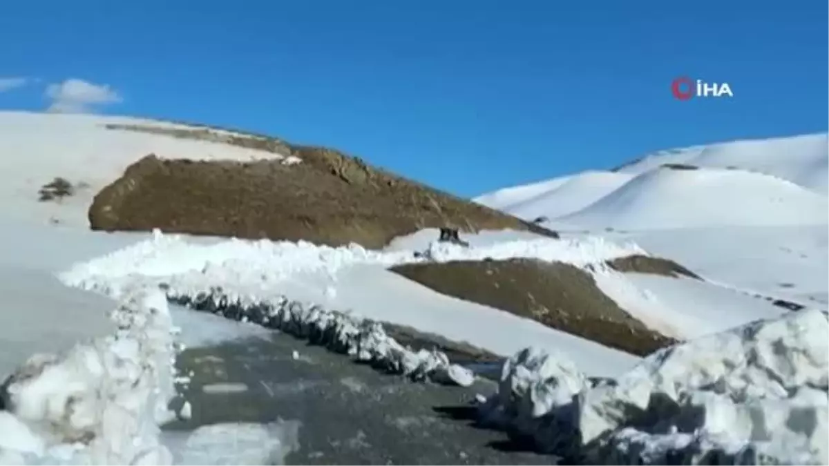 Şırnak\'ta Mayıs Ayında Metrelerce Kar Yollardan Temizleniyor