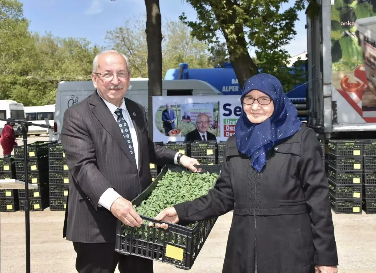 Tekirdağ Büyükşehir Belediyesi, Malkara ve Hayrabolu\'da Sebze Üreticilerine Domates Fidesi Dağıttı