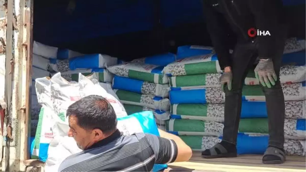 Adilcevaz\'da 36 Çiftçiye 12 Bin 800 Kilogram Fasulye Tohumu Dağıtıldı